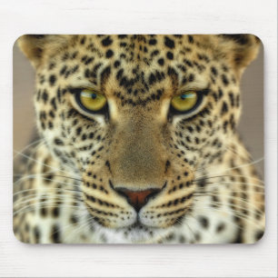 Alfombrilla De Ratón Fierce Leopard