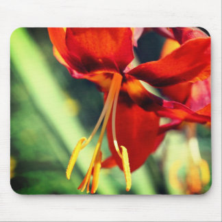 Alfombrilla De Ratón Fiery Naranja Lily Flower
