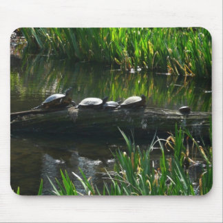 Alfombrilla De Ratón Fila de la naturaleza verde de las tortugas