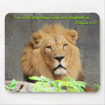 Filipenses 4:13 y Ratón de León Macho