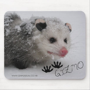 Alfombrilla De Ratón Firma Mousepad del trasto