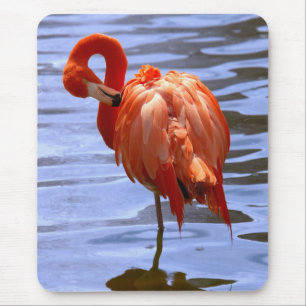 Alfombrilla De Ratón Flamenco en una pierna en el agua