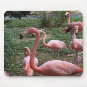 Alfombrilla De Ratón Flamenco Mousepad