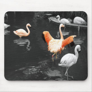 Alfombrilla De Ratón Flamencos