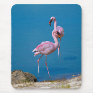 Alfombrilla De Ratón Flamencos rosados en el lago