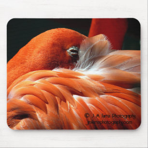 Alfombrilla De Ratón Flamingo