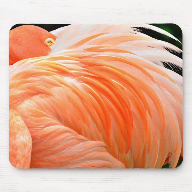 Alfombrilla de ratón Flamingo 1 (Frente)