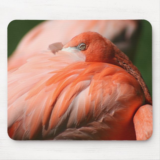 Alfombrilla De Ratón Flamingo Mousepad (Frente)