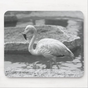 Alfombrilla De Ratón Flamingo varado en agua B&W