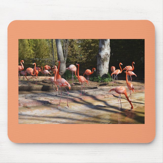 Alfombrilla De Ratón Flamingos (Frente)