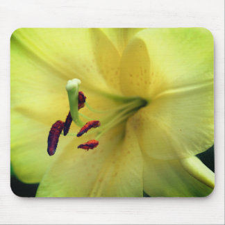 Alfombrilla De Ratón Flor amarillo pálido hacia arriba cerca
