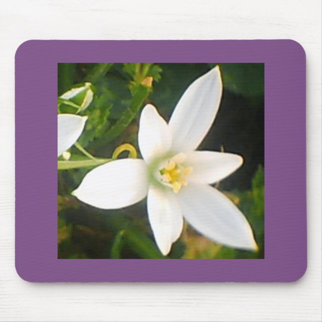 Alfombrilla De Ratón Flor blanca (Frente)