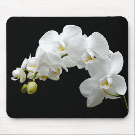 Alfombrilla De Ratón Flor blanco de la orquídea