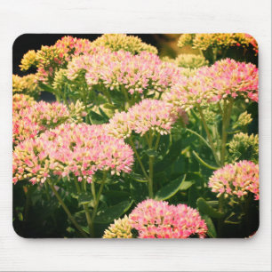 Alfombrilla De Ratón Flor casi sedum