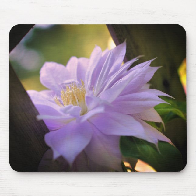 Alfombrilla De Ratón Flor Clematis Nestriada  (Frente)
