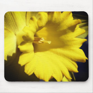 Alfombrilla De Ratón Flor Daffodil Amarilla