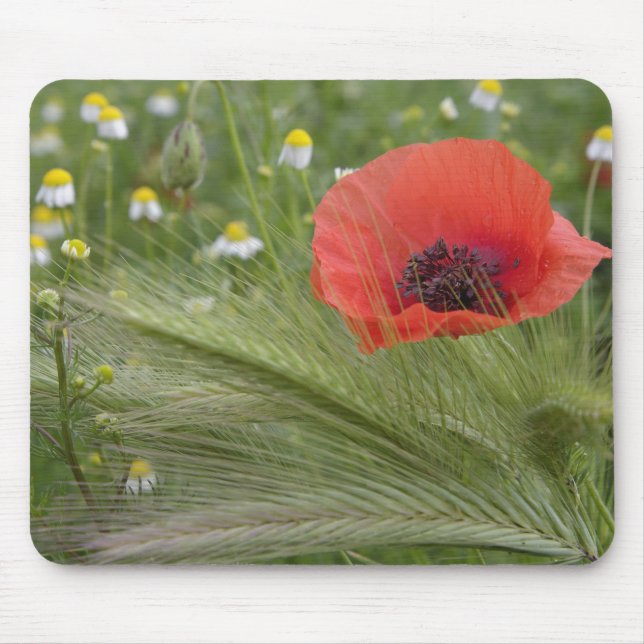 Alfombrilla De Ratón Flor de adormidera roja, Toscana, Italia (Frente)