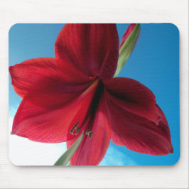 Alfombrilla De Ratón Flor de amarilis roja vívida