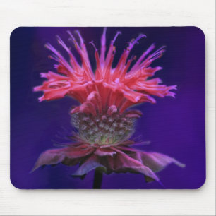 Alfombrilla De Ratón Flor de bálsamo de vino de frambuesa rosa en morad