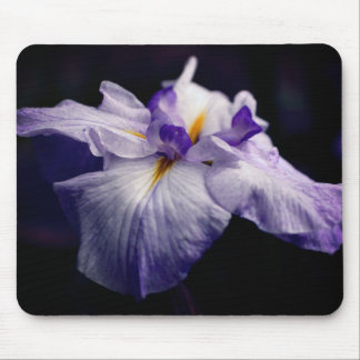 Alfombrilla De Ratón Flor de belleza Iris japonesa