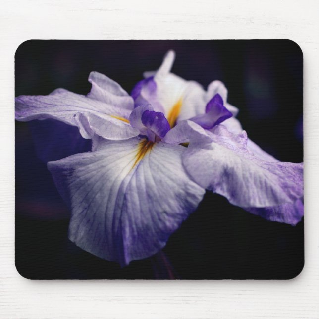 Alfombrilla De Ratón Flor de belleza Iris japonesa (Frente)