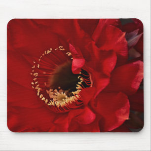 Alfombrilla De Ratón Flor de cactus de Firelight