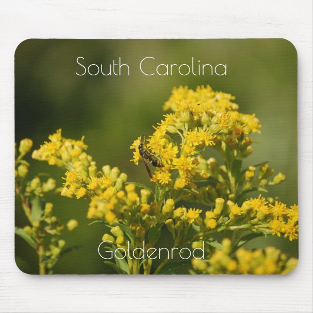 Alfombrilla De Ratón Flor de Carolina del Sur Goldenrod Mousepad (Frente)