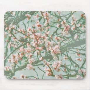 Alfombrilla De Ratón Flor de cerezo
