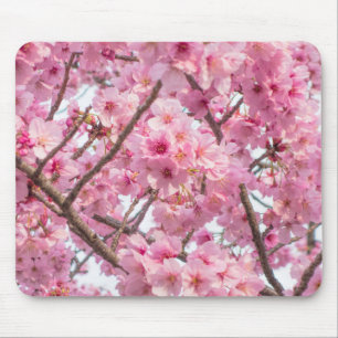 Alfombrilla De Ratón Flor de cerezo rosa