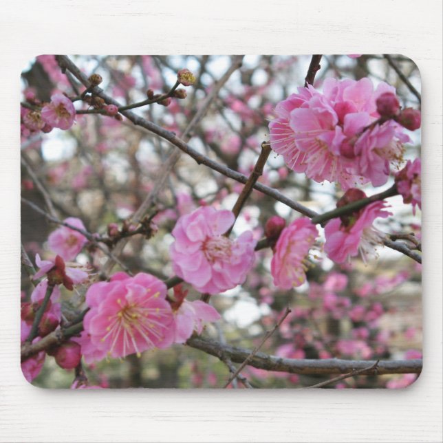 Alfombrilla De Ratón Flor de cerezo rosado / Sakura サ・(桜). (Frente)