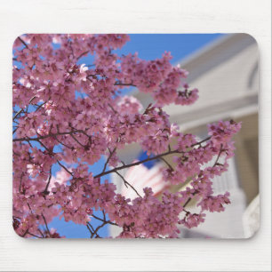 Alfombrilla De Ratón Flor de Cerezo Sakura Americana
