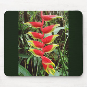 Alfombrilla De Ratón Flor de cigalas de bogavante- Heliconia Rostrata