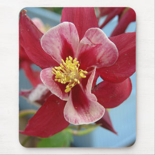 Alfombrilla De Ratón Flor de Columbina