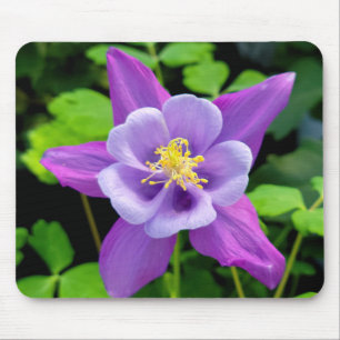 Alfombrilla De Ratón Flor de Columbina Púrpura