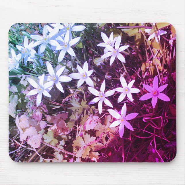 Alfombrilla De Ratón Flor de estrella blanca Par de ratón (Frente)