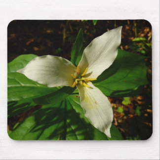 Alfombrilla De Ratón Flor de flores de trillio blanco