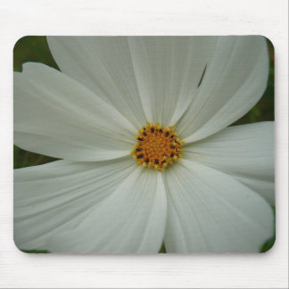 Alfombrilla De Ratón Flor de flores silvestres de verano de Cosmos blan