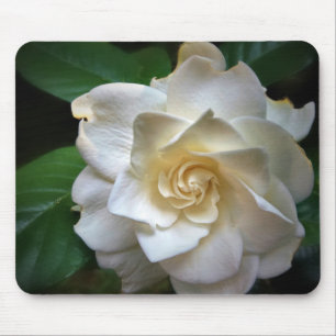 Alfombrilla De Ratón Flor de gardenia blanca