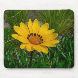 Alfombrilla De Ratón Flor de Gazania