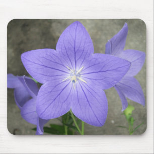 Alfombrilla De Ratón Flor de globo Mousepad