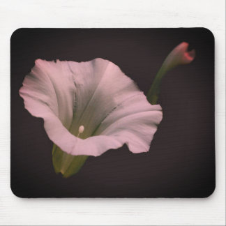 Alfombrilla De Ratón Flor de gloria de la mañana blanca