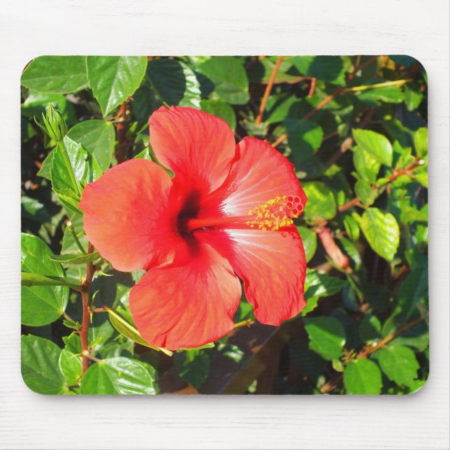Alfombrilla De Ratón Flor de Hibisco (Frente)