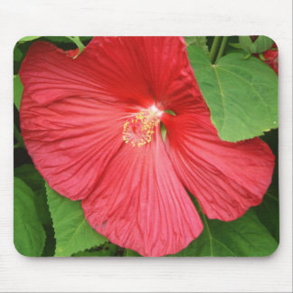 Alfombrilla De Ratón Flor de Hibiscus brillante flor magenta