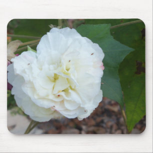 Alfombrilla De Ratón flor de hibiscus mutabilis blanco
