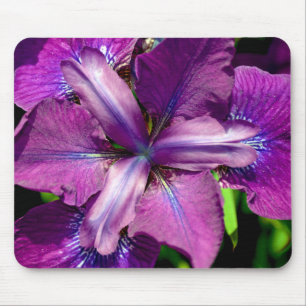 Alfombrilla De Ratón Flor de iris morado