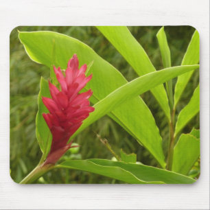 Alfombrilla De Ratón Flor de jengibre rojo (Alpinia) Tropical