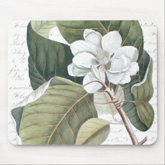 Alfombrilla De Ratón Flor de la magnolia y collage del texto de Clara