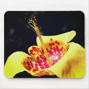 Alfombrilla De Ratón Flor de lirio amarillo visto