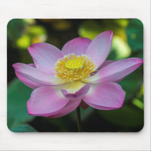 Alfombrilla De Ratón Flor de loto florecida, Indonesia