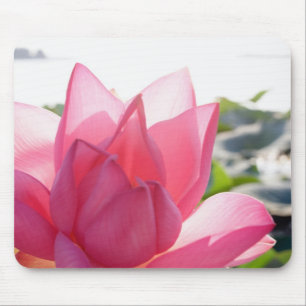Alfombrilla De Ratón flor de loto [Nelumbo speciosum] en plena floració